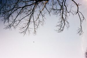BEING IN THE COMMON