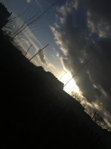 Love in the time of COVID-19