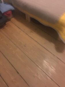 THE TASK OF COHABITATION