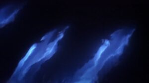 1000 NIGHTS, AND ONE MORE NIGHT
