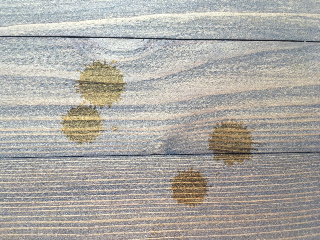 5036BE0F 2053 4F7F B724 E210F22393CD Scaled 1 1024x768